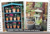  ??  ?? GIMME SHELTER: Shelves and acers