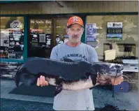  ?? FILE PHOTO ?? Frank Gentle of Kelseyvill­e caught this Clear Lake-record 33.57-pound catfish in March of 2019.