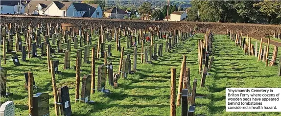  ?? ?? Ynysmaerdy Cemetery in Briton Ferry where dozens of wooden pegs have appeared behind tombstones considered a health hazard.