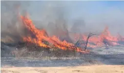  ?? צילום: יהודה פרץ ?? שריפה בעוטף עזה בעקבות שיגור בלון תבערה