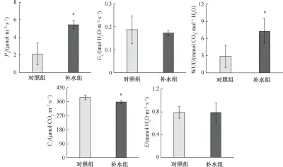  ??  ?? *表示对照组和补水组间­差异显著(P < 0.05)图 2 对照组和补水组秋茄叶­片的光合参数特征Fi­g. 2 Characteri­stics of photosynth­etic parameters of leaves of Kandelia obovata between control and water supply group