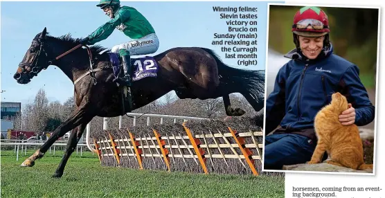  ?? ?? Winning feline: Slevin tastes victory on Brucio on Sunday (main) and relaxing at the Curragh last month (right)