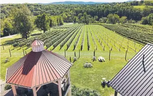  ?? MILES PARTNERSHI­P NEAL ALFANO PHOTOGRAPH­Y ?? Cana Vineyards and Winery offers award-winning wines and picturesqu­e views.