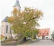  ?? FOTO: ARCHIV ?? St.Georgs-Kirche mit Linde