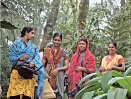  ?? ?? Staying rooted Gardeners arrive in the morning at the Gurukula Botanical Society in Wayanad. SPECIAL ARRANGEMEN­T