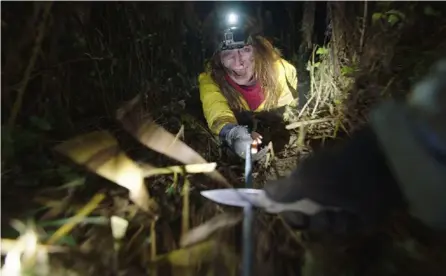  ?? CorTesÍA ?? En ‘La leyenda de la viuda’ la cámara de una periodista registrará el horror. Ya nada será un secreto, la ‘viuda coja’ es real.