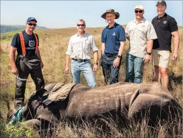  ?? PICTURE: CHRIS LAURENZ ?? FORMER Sharks and Springbok player, Stefan Terblanche, second right, added his voice to the anti-poaching chorus this week and was present when 8-year-old Vuyo was dehorned for his survival and safety at the Gwahumbe Game & Spa in Mid-Illovo, KZN....