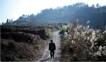  ?? Beiyi Seow — AFP photos ?? Liu walking to his orange orchard in Baojing County, in central China’s Hunan province.