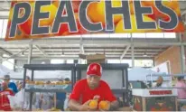  ?? STAFF FILE PHOTO BY C.B. SCHMELTER ?? Larry Thigpen goes through boxes of peaches while working at the Hazelrig Orchards booth during the Chattanoog­a Market’s Peach Festival event at the First Tennessee Pavilion in July.