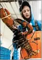  ?? ROBERT F. BUKATY/AP ?? Kyle Bruns packs a live lobster this week for shipment to Hong Kong at The Lobster Company in Maine.