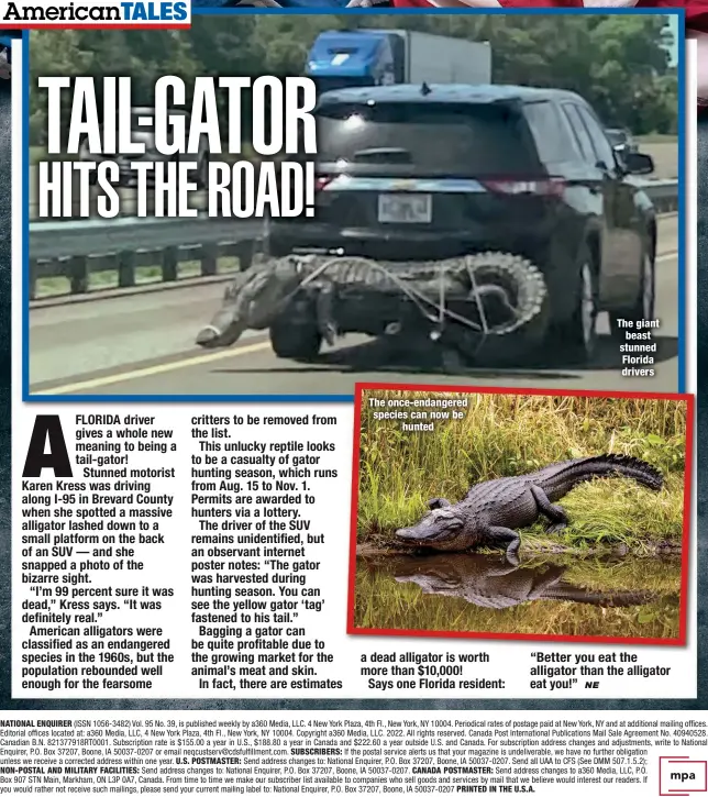  ?? ?? The once-endangered species can now be
hunted
The giant beast stunned Florida drivers