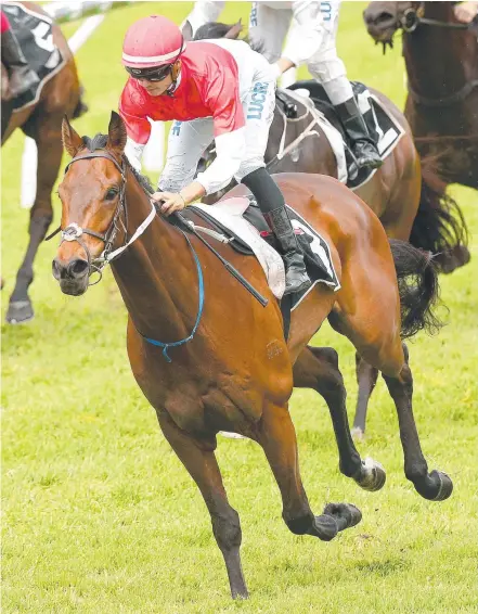  ?? Picture: AAP IMAGE ?? Recognitio­n Stakes favourite Niccanova wins at Doomben last month.