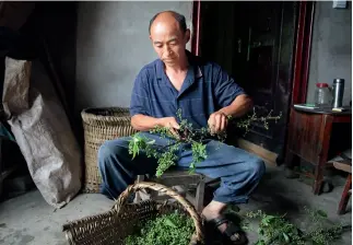  ??  ?? Zhang Jisheng selecciona los granos de pimienta de Sichuan en casa.