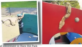  ??  ?? ●●Zakira checks out the playground equipment in Hare Hill Park