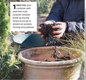 ??  ?? 1 HALF FILL your container with peat-free multipurpo­se compost. Break up any big lumps as you go to prevent air pockets forming once planted.
