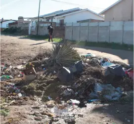  ??  ?? Tuinvullis en huishoudel­ike afval in ‘n stegie langs Hibiscusst­raat, Seaview.