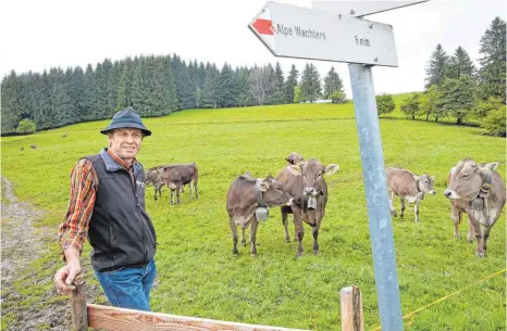  ?? FOTO: MATTHIAS BECKER ?? Bei Albert Hörburger auf der Alpe Wachters oberhalb des Niedersont­hofener Sees im Oberallgäu hat die Alpsaison bereits begonnen.