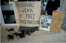  ??  ?? A group of protesters delivered dead weka to a Department of Conservati­on office on Friday August 24.