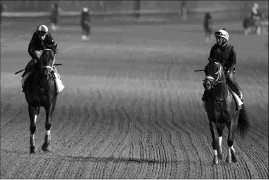  ?? BARBARA D. LIVINGSTON ?? Encino (left) outworked his more highly regarded stablemate Catching Freedom on Saturday.