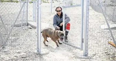  ?? FOTOS: NURIA SOLER ?? Loki sale de paseo en las nuevas instalacio­nes del centro de acogida de Zaragoza.