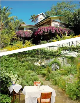  ??  ?? Guests at Sonya’s Garden are treated to freshly harvested organic greens with aromatic herbs and flowers.