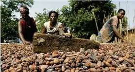  ?? FAIRTRADE ?? Nachwuchs- und Geldsorgen: Kakaobauer­n in der Elfenbeink­üste