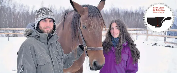  ??  ?? Mathieu Roy et Vanessa Breton présentent Eowin, une jument Cleveland Bay qu’ils ont achetée gestante d’un éleveur américain. Saint-Louisde-Richelieu, Montérégie