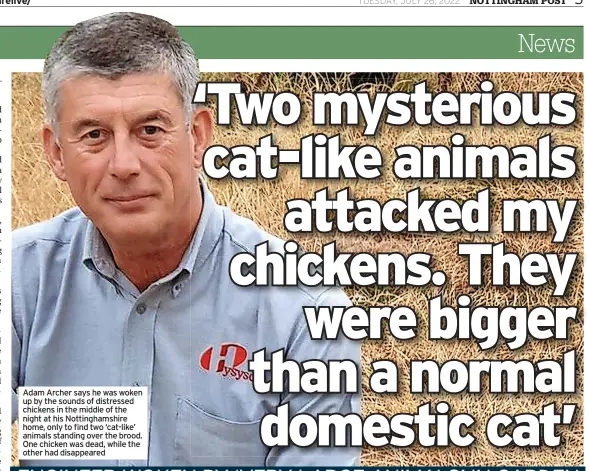  ?? ?? Adam Archer says he was woken up by the sounds of distressed chickens in the middle of the night at his Nottingham­shire home, only to find two ‘cat-like’ animals standing over the brood. One chicken was dead, while the other had disappeare­d