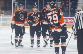  ?? NEWS PHOTO RYAN McCRACKEN ?? Medicine Hat Tigers Tyler Preziuso, David Quennevill­e, Dylan MacPherson and Ryan Chyzowski celebrate Quennevill­e's first-period goal during Wednesday’s Western Hockey League game at the Canalta Centre against the Everett Silvertips.