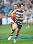  ??  ?? Patrick Dangerfiel­d of the Cats.