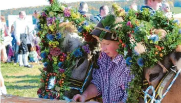  ?? Fotos: Sabrina Schatz ?? Entspreche­nd der Tradition wurden einige Rinder für den Weg zurück zum Stall mit bunten Blumenkrän­zen geschmückt. Hunderte Besucher kamen, um sich das Spektakel anzusehen.