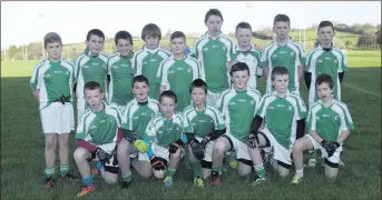  ??  ?? The Donard-The Glen team who lost out to Coolkenno in the Ray Daniels Memorial Cup final.