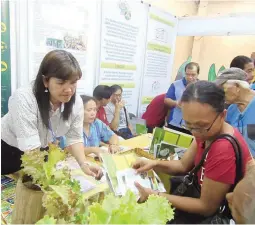  ??  ?? LOS BAÑOS BOOTH AT THE TRADE SHOW – The booth of UP Los Baños at the first Urban Agricultur­e expo at the Rockwell Tent was one of the favorites of visitors. Photo shows visitors looking at informatio­n materials provided by the exhibitor. UPLB experts...