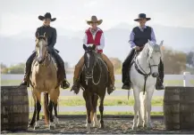  ??  ?? Competitor­s are encouraged to show in the traditiona­l gear of the rider’s country and/or of the type of horse ridden.