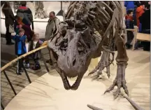  ?? LAURA DEMPSEY ?? The Cleveland Museum of Art is home to reconstruc­ted dinosaur skeletons.