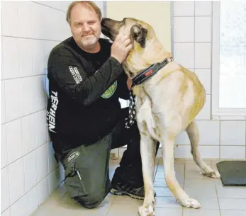  ??  ?? Kangal-Rüde Janosch wurde von seinem früheren Besitzer einfach an der Straße ausgesetzt. Nur einem glückliche­n Zufall ist es zu verdanken, dass er heute noch lebt.