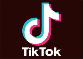  ?? ( Sourced from emobwebsit­e) ?? The logo of the popular TikTok applicatio­n.