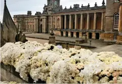  ??  ?? Petal power: Blenheim Palace was decorated with roses