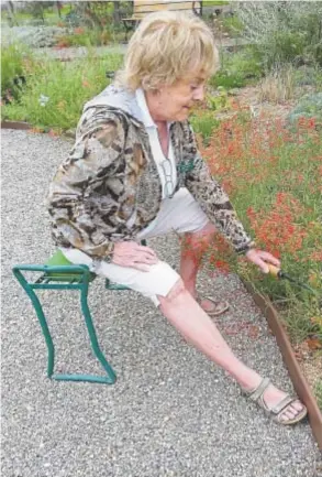  ?? Photo provided by Nance Tucker ?? Jefferson County gardener Nance Tucker, 81, uses a portable bench to ease the strain on her back.