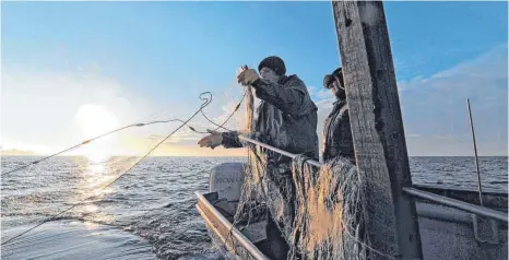  ?? FOTO: DPA ?? Die Berufsfisc­her ziehen deutlich weniger Fische aus dem Bodensee als noch vor zwei Jahrzehnte­n.