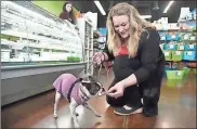  ?? AP-Annie Rice ?? AdreAnne Tesene plays with her dog Sassy at her Naperville, Ill., location of Two Bostons Pet Boutique. She says of her younger employees, “It’s up to us as owners and managers to just let them know what’s expected.”/