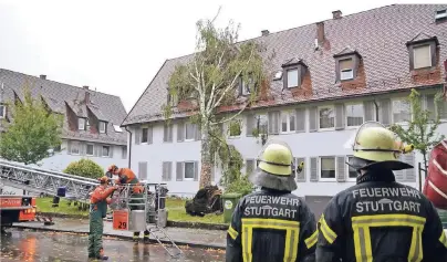  ?? FOTO: DPA ?? Umgestürzt­e Bäume können erhebliche Schäden anrichten. Hier schützt eine Gebäudever­sicherung.