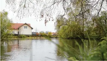  ??  ?? Der Widmann Weiher in Thaining ist ein Problemfal­l: Die Nährstoffa­nreicherun­g ist zu hoch, die Wasserqual­ität zu schlecht.