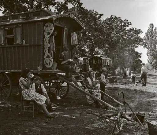  ??  ?? ABOVE: A gypsy encampment at Brook Farm in Wingham, Kent, during the plum-picking season, September 1942.