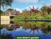  ??  ?? June Blake’s garden