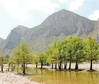  ?? /FCO. JAVIER SOLIS ?? Se busca proteger la flora y fauna del lugar.