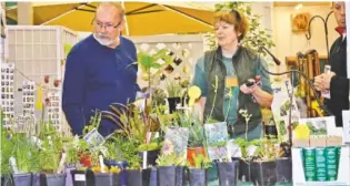  ?? CONTRIBUTE­D PHOTO ?? Browse dozens of vendors who will sell plants, tools and garden art at Master Your Expo in Camp Jordan Arena.