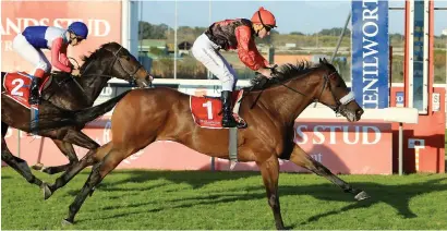  ??  ?? GOING FOR BONUS. African Night Sky has won the first two legs of the Winter Series in Cape Town and is tipped to claim the R250,000 bonus for winning the last leg as well at Kenilworth tomorrow.