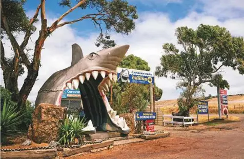  ?? New York Times ?? ■ A local landmark in Port Lincoln, which is a centre for tourism because of its ready access to the Bight. The local fishing and tourism industries worry the risks of drilling in the Great Australian Bight will outweigh talk of jobs.