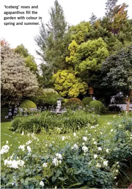  ??  ?? ‘Iceberg’ roses and agapanthus fill the garden with colour in spring and summer.